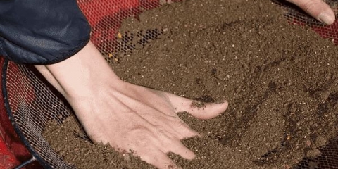 Priprema tla u stakleniku u jesen za paradajz